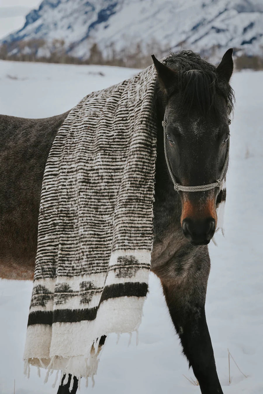NURALIFE | Hand-Loomed Blanket - Black/Brown