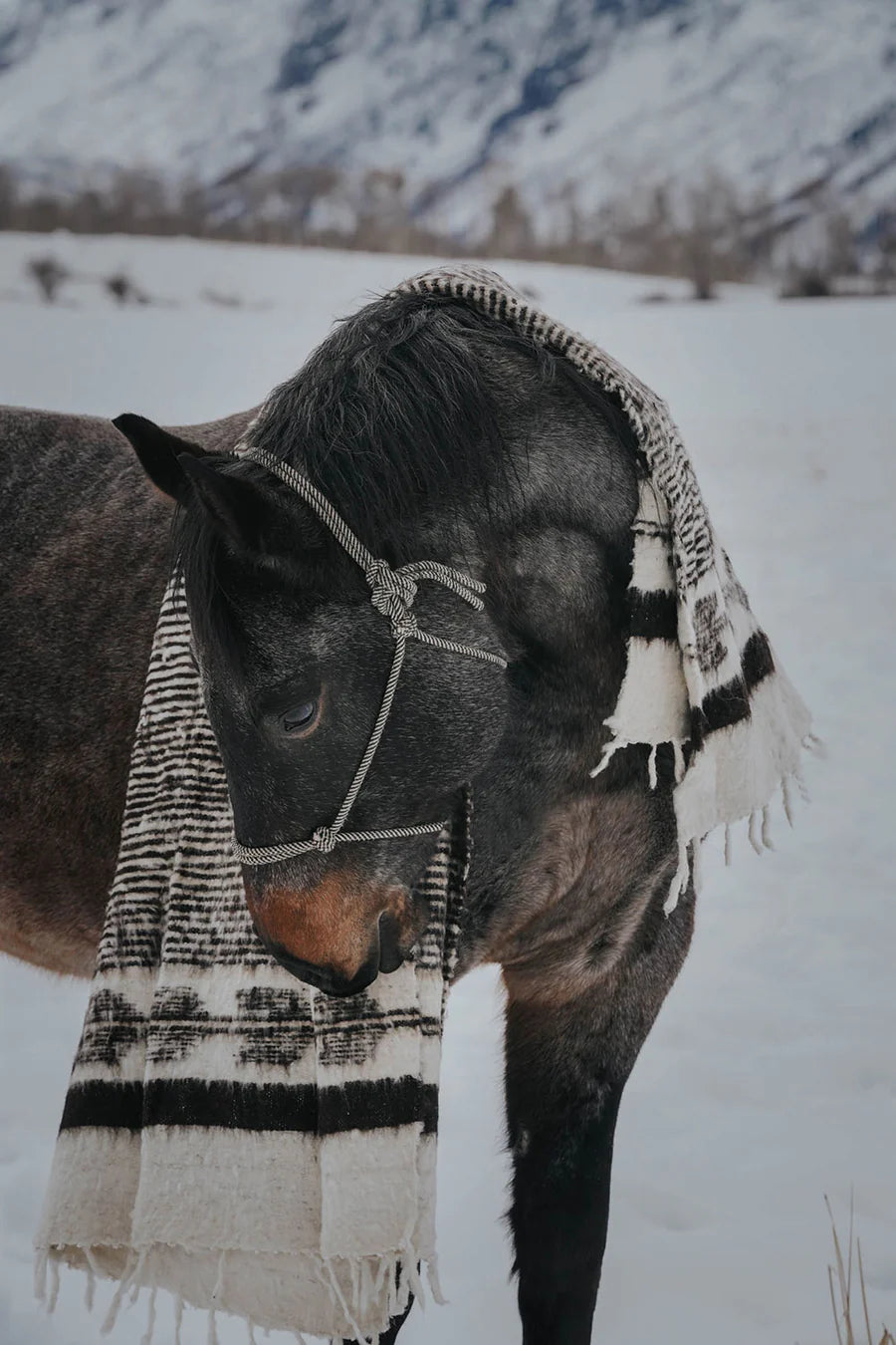 NURALIFE | Hand-Loomed Blanket - Black/Brown